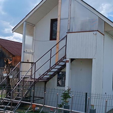 Casa De Vacanta Alina Prundul Birgaului Dış mekan fotoğraf