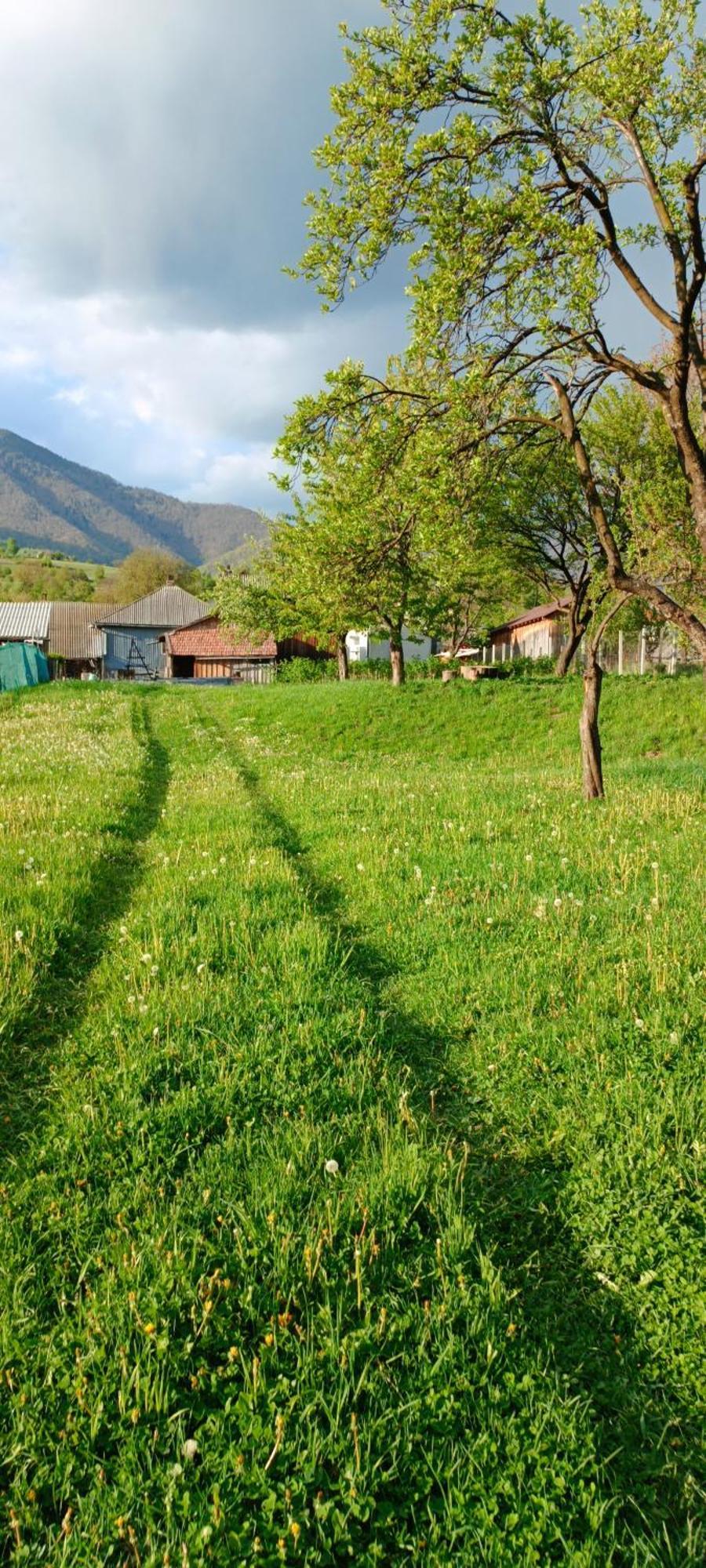 Casa De Vacanta Alina Prundul Birgaului Dış mekan fotoğraf
