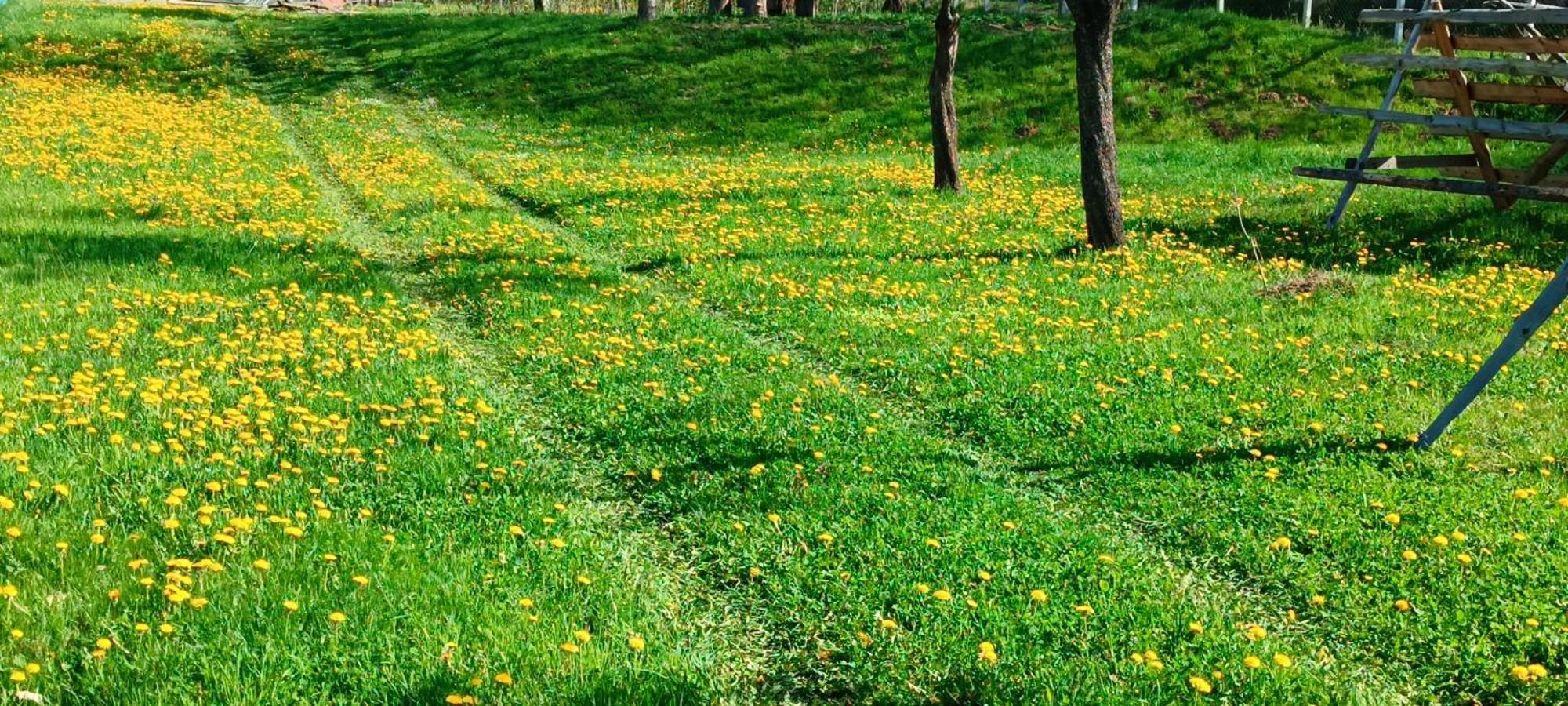 Casa De Vacanta Alina Prundul Birgaului Dış mekan fotoğraf