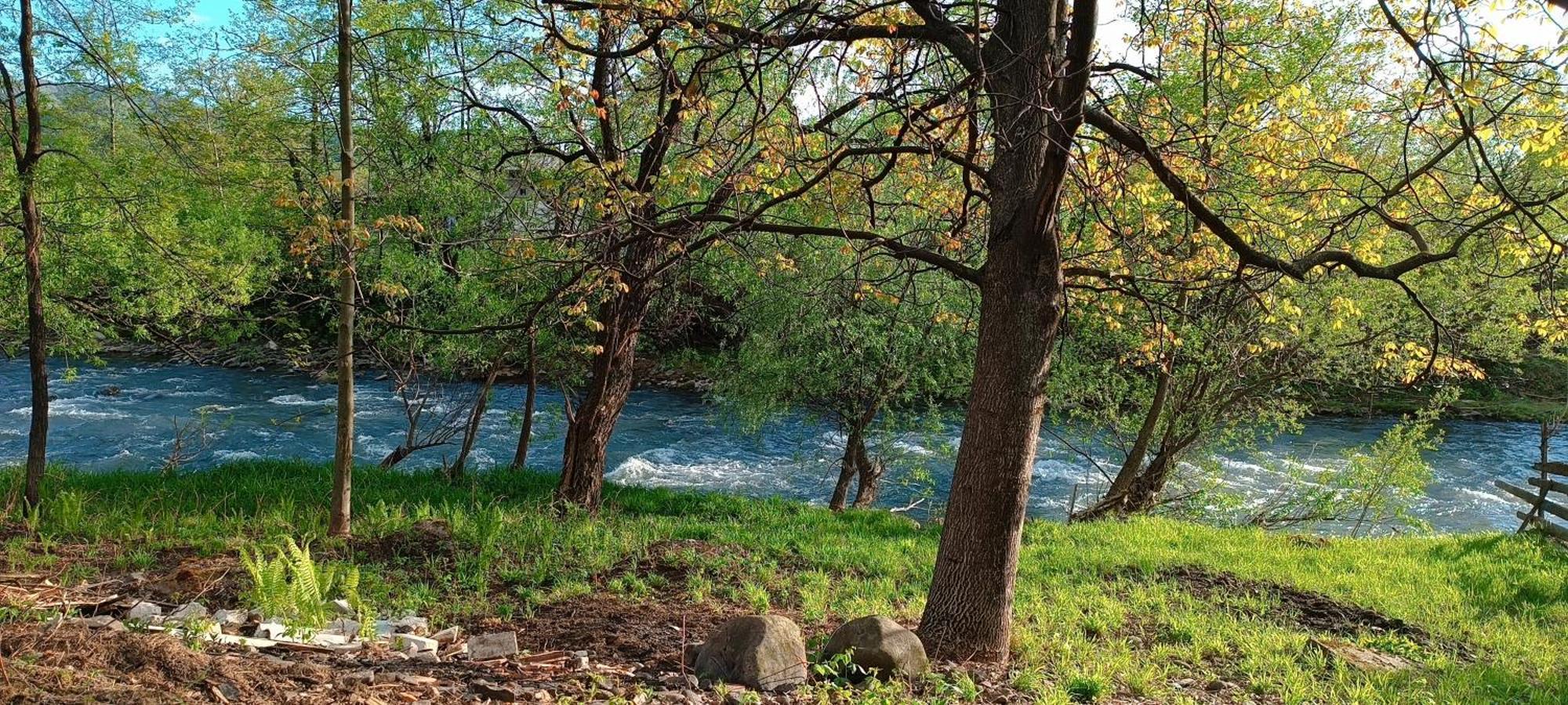 Casa De Vacanta Alina Prundul Birgaului Dış mekan fotoğraf