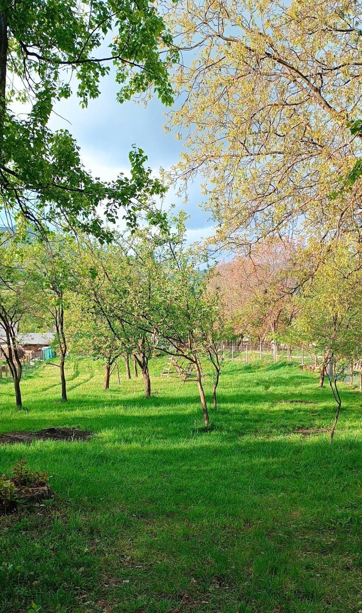 Casa De Vacanta Alina Prundul Birgaului Dış mekan fotoğraf