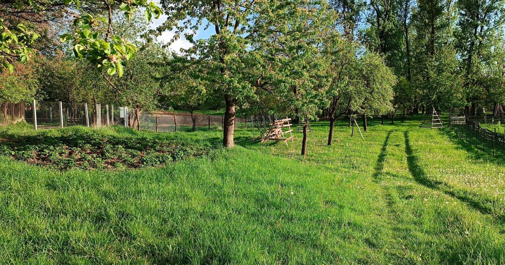 Casa De Vacanta Alina Prundul Birgaului Dış mekan fotoğraf