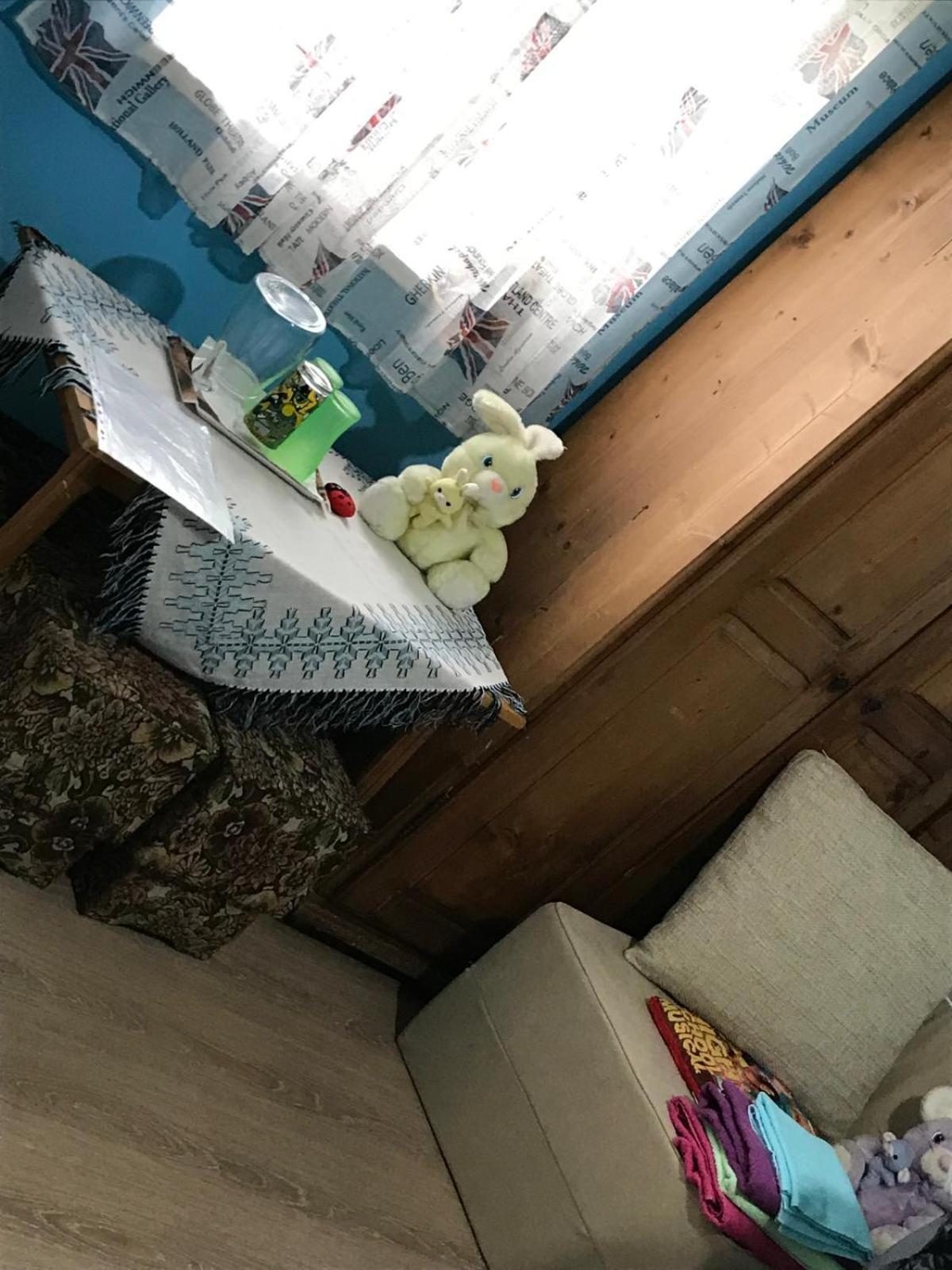 Casa De Vacanta Alina Prundul Birgaului Dış mekan fotoğraf