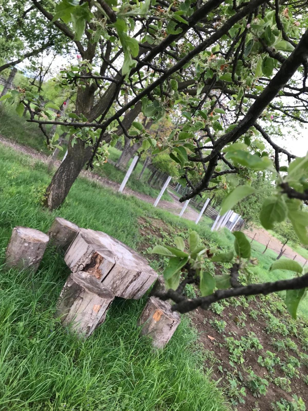 Casa De Vacanta Alina Prundul Birgaului Dış mekan fotoğraf
