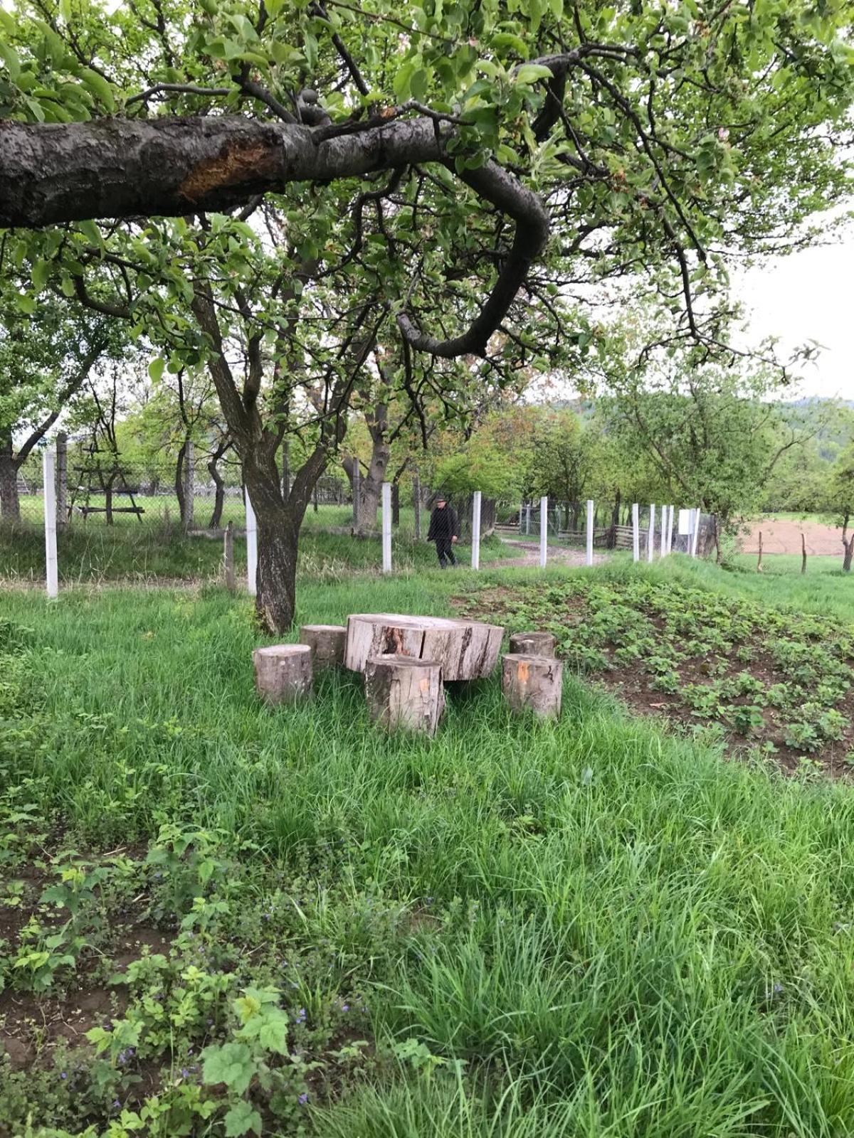 Casa De Vacanta Alina Prundul Birgaului Dış mekan fotoğraf